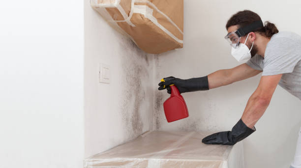 Professional Bathroom Mold Removal technician working in Butler, NJ
