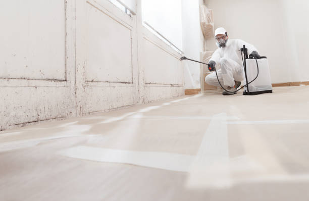 24/7 Emergency Bathroom Mold Removal experts in Butler, NJ